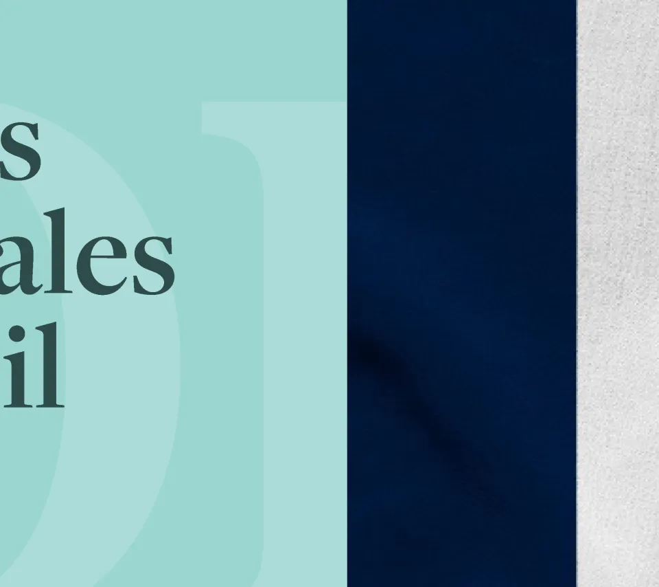 Dynamiques entrepreneuriales France-Brésil Table ronde