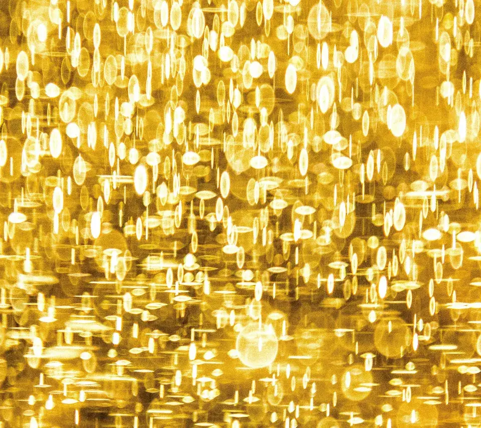 Grande Cérémonie de remise de diplomes événement